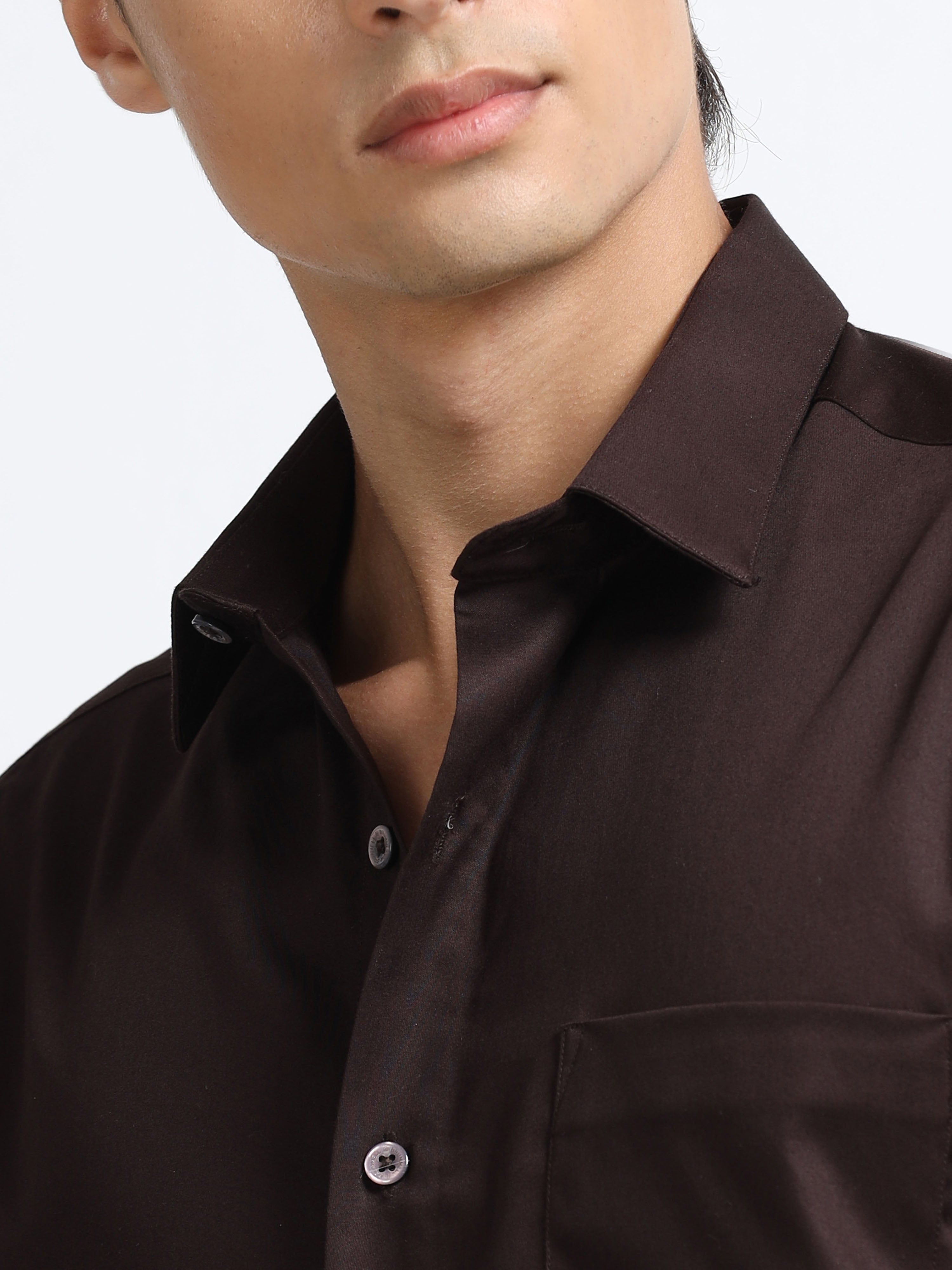Roasted Bean Cotton Satin Stretch Solid Shirt